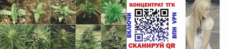 хочу наркоту Мариинск гидра ссылка Дистиллят ТГК концентрат